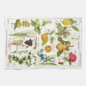 Linge De Cuisine Botanique (Horizontal)