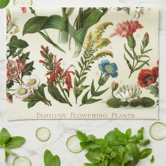 Linge De Cuisine Botaniques de fleurs (Plié)