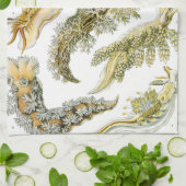 Linge De Cuisine Boues de mer par Ernst Haeckel, Nudibranchia Vinta (Plié)