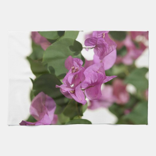 Linge De Cuisine Bougainvillea (Horizontal)