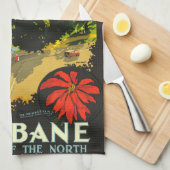 Linge De Cuisine Brisbane Australie Affiche touristique (Quart Plié)