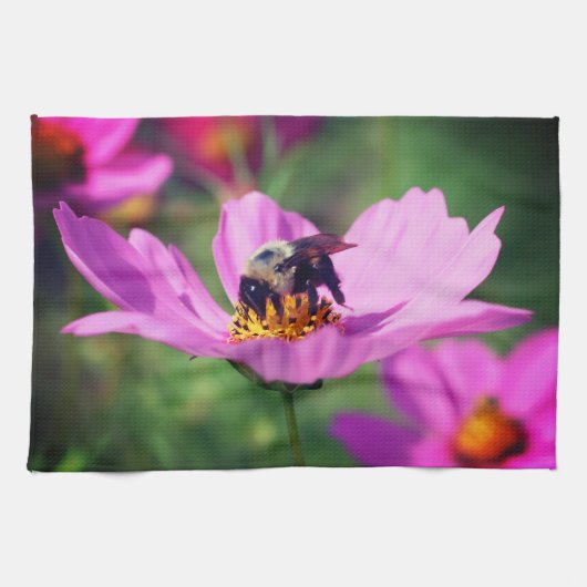 Linge De Cuisine Bumble Bee Sur Fleur Cosmos Rose (Horizontal)