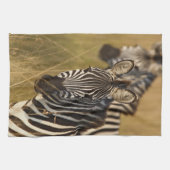 Linge De Cuisine Burchell's Zebra dans la haute herbe d'été, Masai (Horizontal)