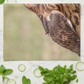 Linge De Cuisine Buse à queue rouge dans la vallée de l'Hudson (Plié)