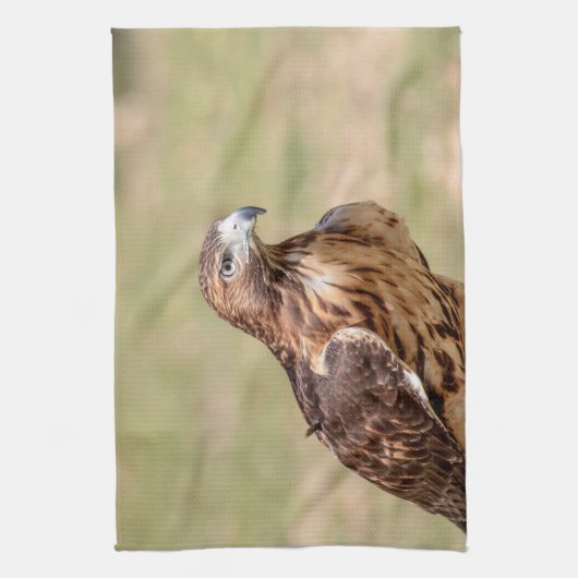 Linge De Cuisine Buse à queue rouge dans la vallée de l'Hudson (Vertical)