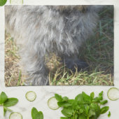 Linge De Cuisine Cairn Terrier noir (Plié)