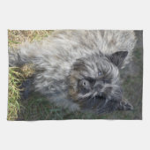 Linge De Cuisine Cairn Terrier noir (Horizontal)