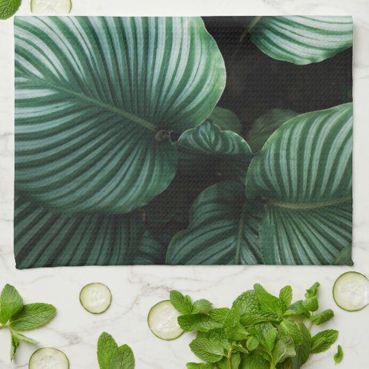 Linge De Cuisine Calathea feuille, plat plante tropical rayé (Plié)