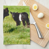 Linge De Cuisine Calcaire Noir Et Blanc, (Quart Plié)