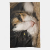 Linge De Cuisine Calico Face (Vertical)