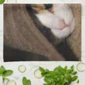 Linge De Cuisine Calico Taco (Plié)