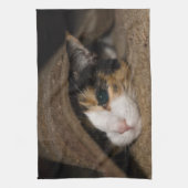 Linge De Cuisine Calico Taco (Vertical)