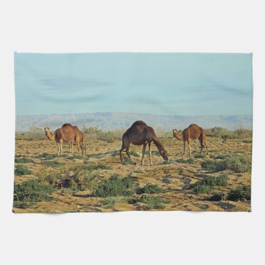 Linge De Cuisine Camels, Tunisie (Horizontal)