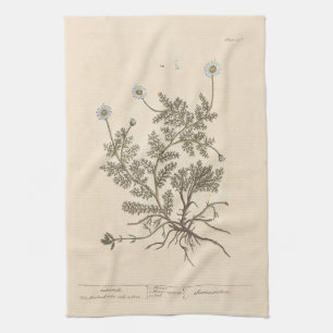 Linge De Cuisine Camomille par Elizabeth Blackwell