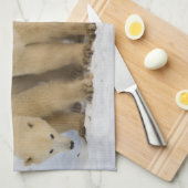 Linge De Cuisine Canada, baie d'Hudson. Mère d'ours polaire avec de (Quart Plié)