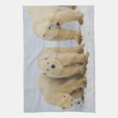 Linge De Cuisine Canada, baie d'Hudson. Mère d'ours polaire avec de (Vertical)