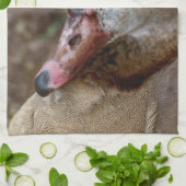 Linge De Cuisine Canard (Plié)