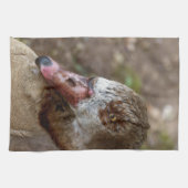 Linge De Cuisine Canard (Horizontal)