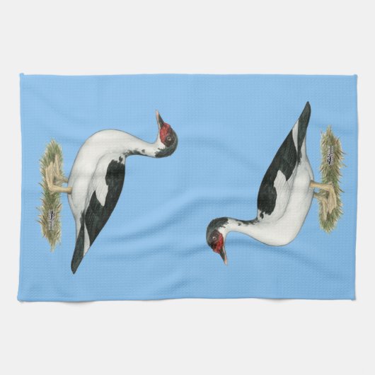 Linge De Cuisine Canard à cochon noir (Horizontal)