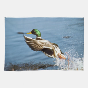 Linge De Cuisine Canard de Mallard Drake
