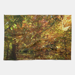 Linge De Cuisine Canopée des Feuilles d'automne II Photographie d'a