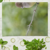 Linge De Cuisine Capteur (Plié)