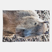 LINGE DE CUISINE CAPYBARA ANIMAL SAUVAGE (Horizontal)