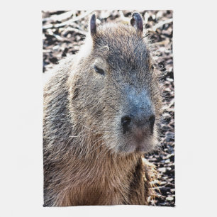 LINGE DE CUISINE CAPYBARA ANIMAL SAUVAGE