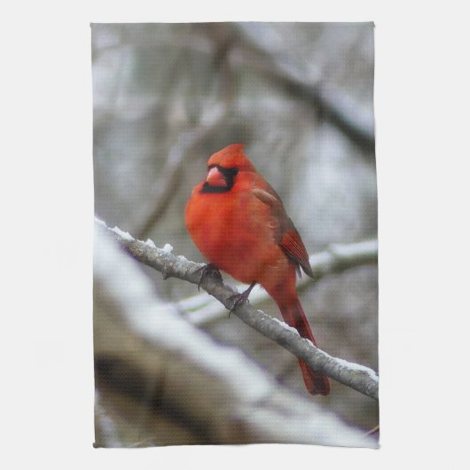 Linge De Cuisine Cardinal masculin (Vertical)