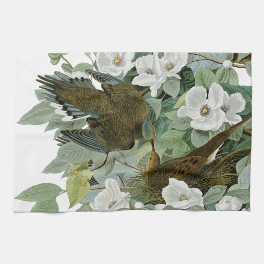 Linge De Cuisine Carolina Pigeon Audubon Morning Dove (Horizontal)