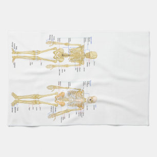 Linge De Cuisine Carte d'anatomie marquée du squelette humain