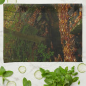 Linge De Cuisine Cascade automnale et Creek Pennsylvania Nature (Plié)