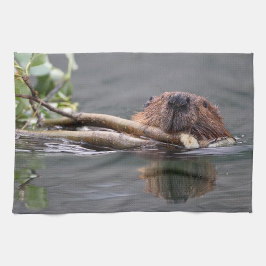 Linge De Cuisine castor (Horizontal)