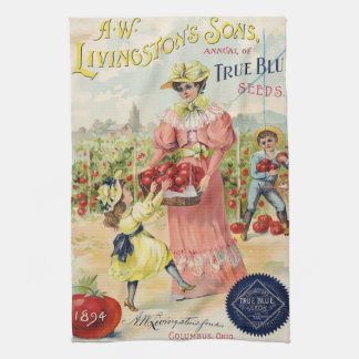 Linge De Cuisine Catalogue de graines vintage 1894 Livingston's Tor