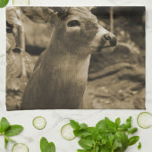 Linge De Cuisine Cerfs communs de trophée (Plié)