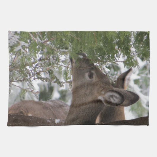Linge De Cuisine Cerfs communs mangeant des branches de cèdre (Horizontal)