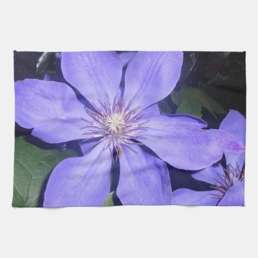 Linge De Cuisine Césarine (Horizontal)