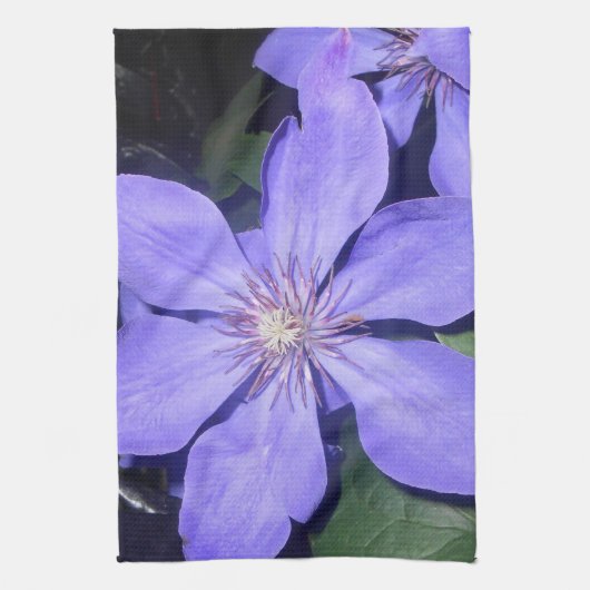 Linge De Cuisine Césarine (Vertical)