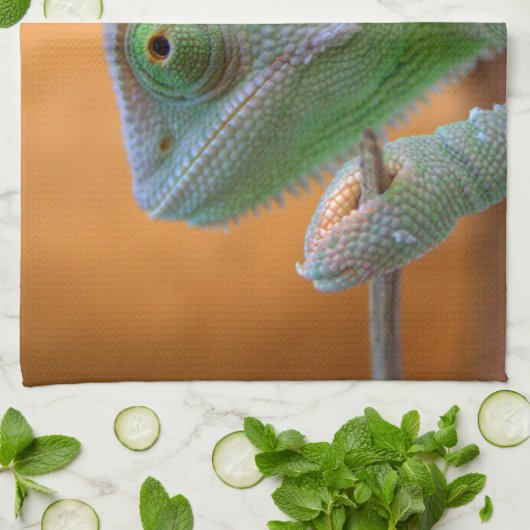 Linge De Cuisine Chameleon voilé (Plié)