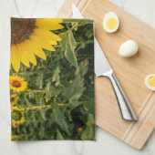 Linge De Cuisine Champ de Tournesols (Quart Plié)