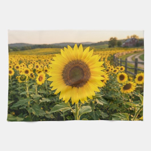 Linge De Cuisine Champ de Tournesols (Horizontal)