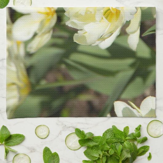 Linge De Cuisine Champ de tulipes blanches (Plié)