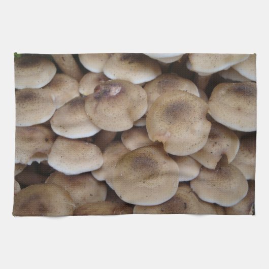 Linge De Cuisine Champignons poussant dans une grappe d'art photo o (Horizontal)