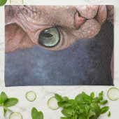 Linge De Cuisine Chat 578 Sphynx (Plié)