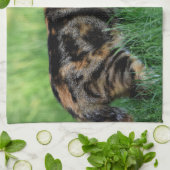 Linge De Cuisine Chat marron et blanc (Plié)