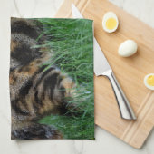 Linge De Cuisine Chat marron et blanc (Quart Plié)