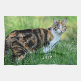 Linge De Cuisine Chat marron et blanc