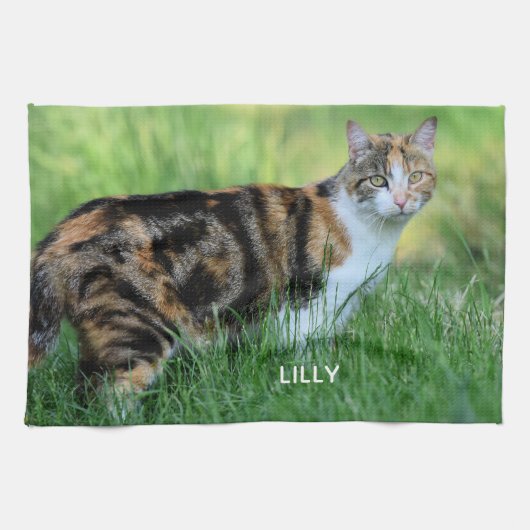 Linge De Cuisine Chat marron et blanc (Horizontal)