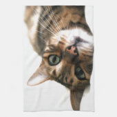 Linge De Cuisine Chat mignon du Bengale dans l'image de lit (Vertical)