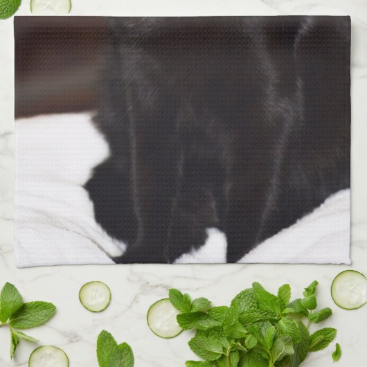 Linge De Cuisine Chat noir (Plié)